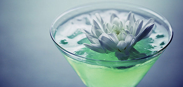 Хризантема