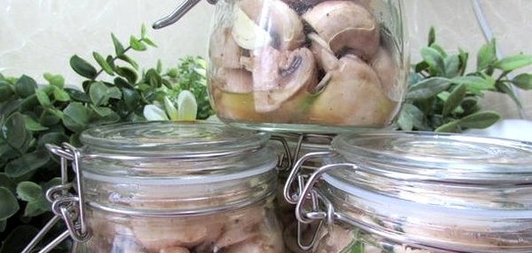 Грибы с розмарином