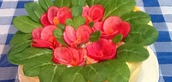 Салат Фиалка