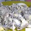 Салат из языка с орехами