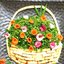 Салат "Корзинка"