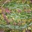 Запеченная говядина с картофелем и розмарином