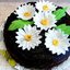 Торт Ромашка