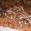 Быстрый торт в мультиварке