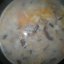 Молочный суп с рыжиками