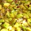 Овощное рагу с курицей и грибами