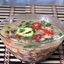 Заливное из мяса разных сортов