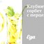 Клубничный сорбет с перцем