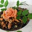 Салат из морской капусты с семгой