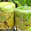 Маринованные виноградные листья для долмы