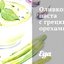Оливковая паста с грецкими орехами