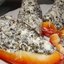 Перец фаршированный морской капустой