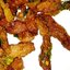 Маринованная свинина с овощами и острым перцем