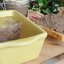 Паштет из свиной печени с черносливом