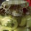 Рулетики из переросших огурцов