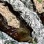 Холодная закуска из фаршированных баклажанов