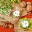 Пикантная закуска из брынзы и орехов