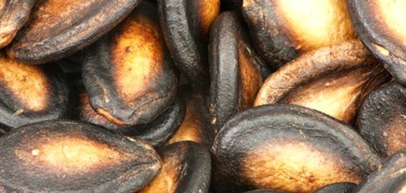 Жареные острые тыквенные семечки с солью и чесноком