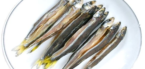 Корюшка соленая