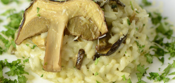 Ризотто с белыми грибами