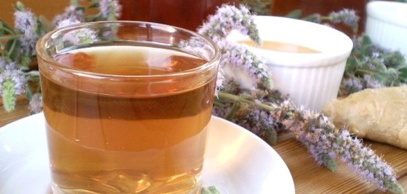 Медовый напиток с мелиссой