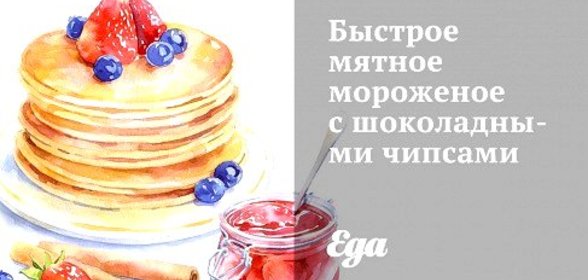 Быстрое мятное мороженое с шоколадными чипсами