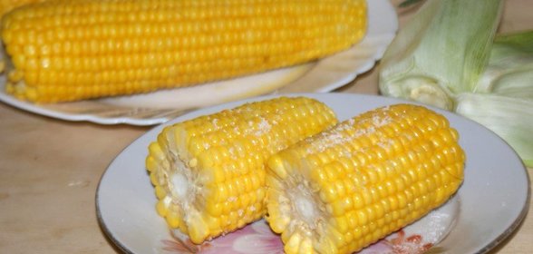 Отварная молодая кукуруза