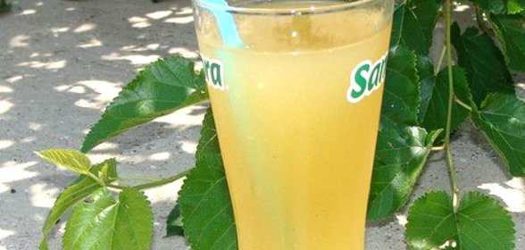 Квас из виноградных листьев
