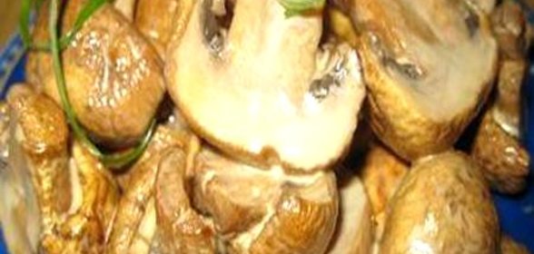 Грибы обалденные