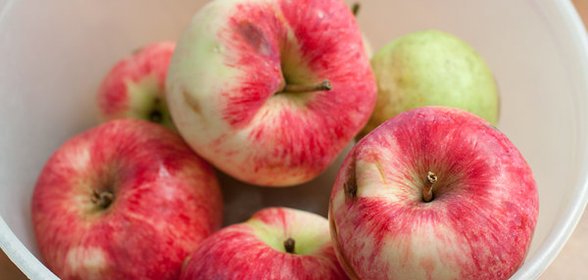 Опята с картошкой в сметане