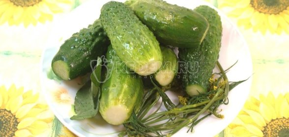 Молочный коктейль