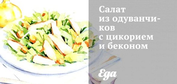 Салат из одуванчиков с цикорием и беконом