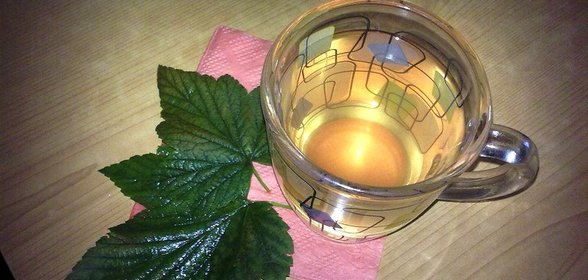Чай из черной смородины