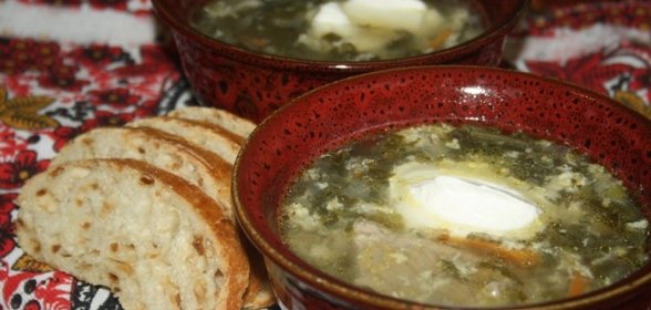 Зеленый борщ со щавелем и виноградными листьями