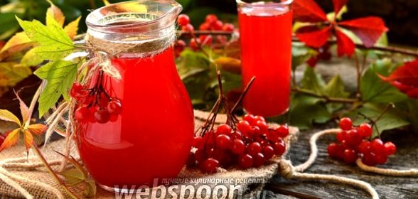 Морс из калины