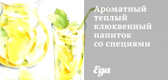 Ароматный теплый клюквенный напиток со специями