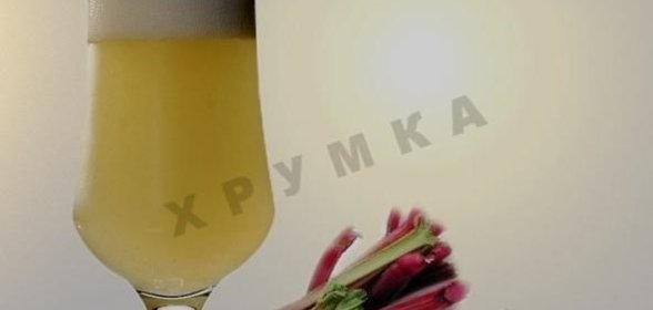 Квас из ревеня