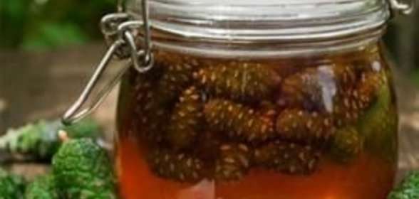 Сироп из сосновых шишек от кашля