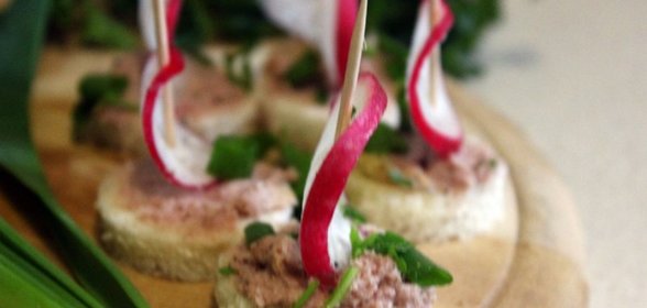 Канапе со сливочным паштетом из индейки и редисом