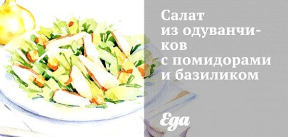 Салат из одуванчиков с помидорами и базиликом