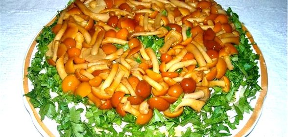 Салат Полянка с опятами