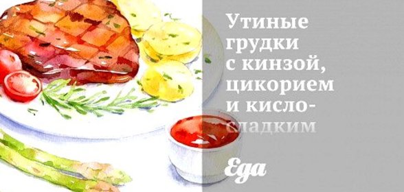 Утиные грудки с кинзой, цикорием и кисло-сладким апельсиновым соусом