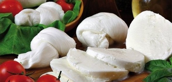 Сыр мягкий в домашних условиях