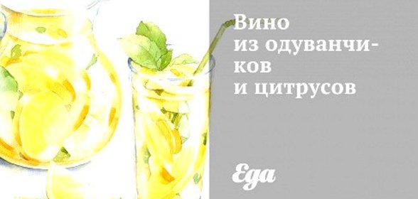 Вино из одуванчиков и цитрусов