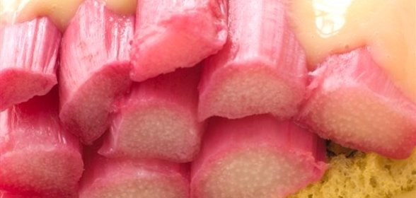 Тосты с ревенем