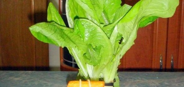 Картофельный колодец