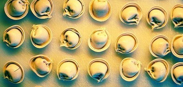 Тесто для пельменей/вареников