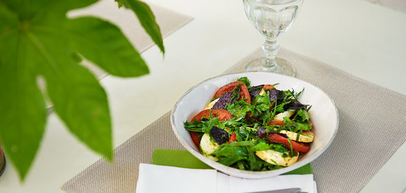 Салат из томатов с сыром и зеленью