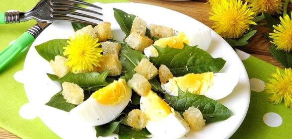Салат из одуванчика