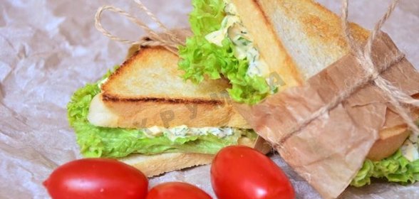 Бутерброды для пикника